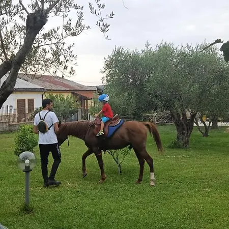 Casetta Ospiti Holiday home *